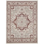 Nourison Carina CNA02 Area Rug, Brick/Silver, 7'10" x 9'10"