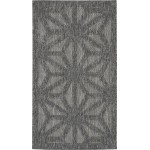 Nourison Cozumel CZM01 Area Rug, Dark Grey, 2'2" x 3'9"