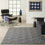 Nourison Cozumel CZM01 Area Rug, Dark Grey, 4' x 6'