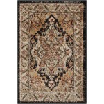 Nourison Delano DEL05 Area Rug, Black, 2' x 3'