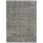 Nourison Dreamy Shag DRS03 Area Rug, Grey, 4' x 6'