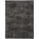 Nourison Dreamy Shag DRS05 Area Rug, Grey, 4' x 6'