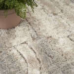 Nourison Dreamy Shag DRS09 Area Rug, Ivory/Beige, 4' x 6'