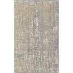 Calvin Klein Ck005 Enchanting ECH04 Area Rug, Grey/Beige, 3'2" x 5'