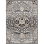 Nourison Elation ETN09 Area Rug, Grey, 4' x 6'