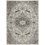 Nourison Elation ETN09 Area Rug, Ivory/Grey, 4' x 6'