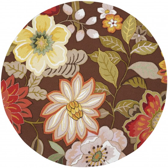 Nourison Fantasy FA18 Area Rug, Chocolate, 5'6" x Round