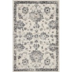 Nourison Fusion FSS15 Area Rug, Cream/Grey, 4' x 6'