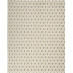 Nourison Grafix GRF22 Area Rug, White, 7'10" x 9'10"