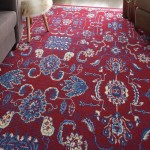 Nourison Grafix GRF36 Area Rug, Red, 7'10" x 9'10"