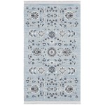 Nourison Lennox LEN04 Area Rug, Light Blue Grey, 2'3" x 3'9"