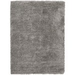 Nourison Lush Shag LSS01 Area Rug, Grey, 5'3" x 7'3"