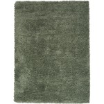 Nourison Lush Shag LSS01 Area Rug, Sage, 5'3" x 7'3"