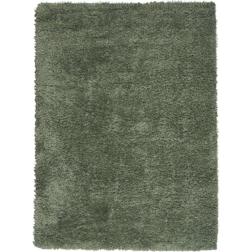 Nourison Lush Shag LSS01 Area Rug, Sage, 5'3" x 7'3"