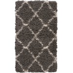 Nourison Luxe Shag LXS02 Area Rug, Charcoal/Beige, 2'2" x 3'9"