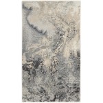 Nourison Maxell MAE08 Area Rug, Grey, 2'2" x 3'9"