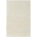 Nourison Malibu Shag MSG01 Area Rug, Ivory, 2'6" x 4'