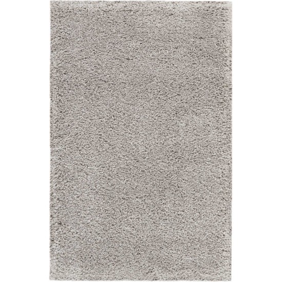 Nourison Malibu Shag MSG01 Area Rug, Silver/Grey, 2'6" x 4'