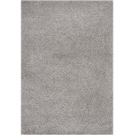 Nourison Malibu Shag MSG01 Area Rug, Silver/Grey, 3'11" x 5'11"