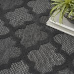 Nourison Easy Care NES01 Area Rug, Charcoal/Black, 4' x 6'