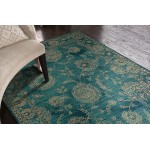 Nourison 2020 NR202 Area Rug, Teal, 8' x 10'6"