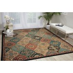 Nourison 2020 NR203 Area Rug, Multicolor, 8' x 10'6"