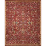 Nourison 2020 NR204 Area Rug, Brick, 8' x 10'6"