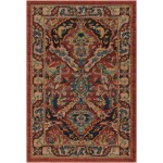 Nourison 2020 NR205 Area Rug, Terracotta, 2' x 3'