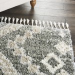 Nourison Oslo Shag OSL02 Area Rug, Grey/Ivory, 4' x 6'