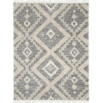 Nourison Oslo Shag OSL02 Area Rug, Grey/Ivory, 7'10" x 10'6"