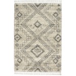 Nourison Oslo Shag OSL02 Area Rug, Ivory/Grey, 4' x 6'