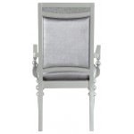 ACME Maverick Arm Chair (Set-2), Fabric & Platinum (2Pc/1Ctn)