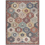 Nourison Parisa PSA05 Area Rug, Multicolor, 7'9" x 9'9"