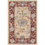 Nourison Parisa PSA07 Area Rug, Gold/Brick, 2' x 3'