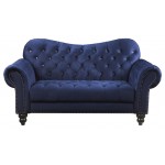 ACME Iberis Loveseat, Navy Velvet