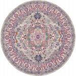 Nourison Passion PSN20 Area Rug, Light Grey/Pink, 8' x Round