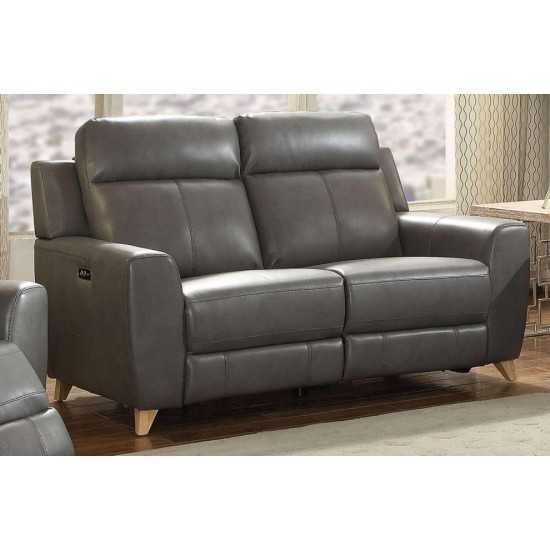 ACME Cayden Loveseat (Power Motion), Gray Leather-Aire Match