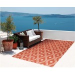 Nourison Home & Garden RS085 Area Rug, Rust, 7'9" x 10'10"