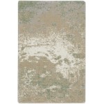 Nourison Twilight TWI06 Area Rug, Ivory/Green, 2' x 3'