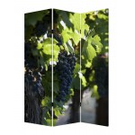 Screen Gems Wine Country Screen SG-151