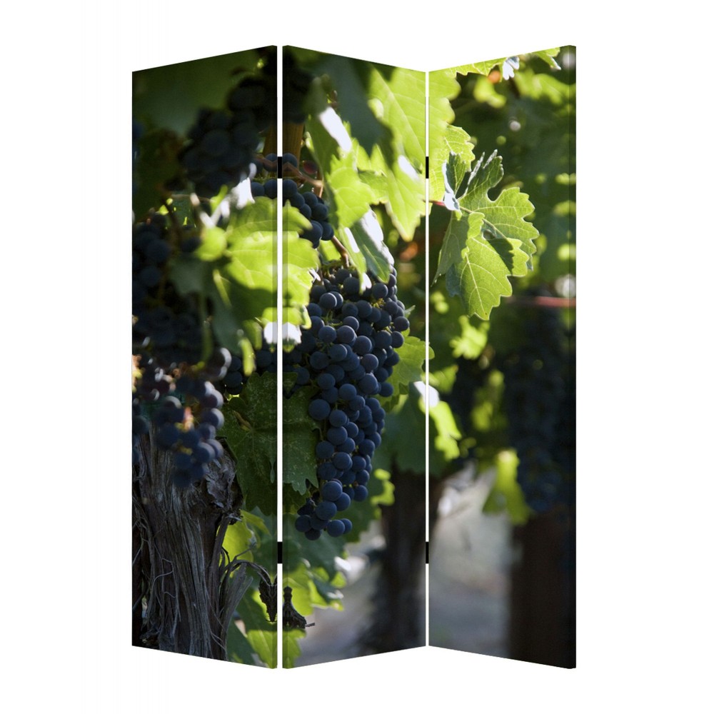 Screen Gems Wine Country Screen SG-151