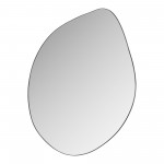 Spi Mirror