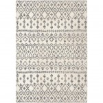 Palmetto Living Nardik Soft White 5'3"x7'6"