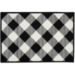 Nourison 096JP Decorative Rug, Black/White, 2' x 3'