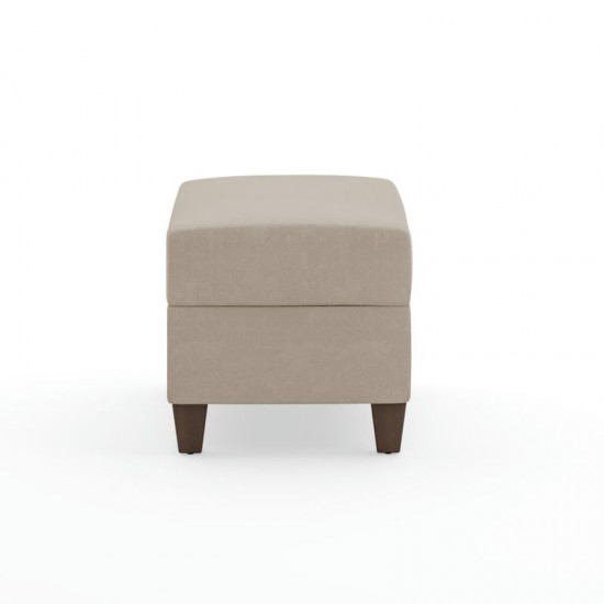 Dylan Ottoman by homestyles, Tan