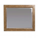 Tuscon Mirror by homestyles