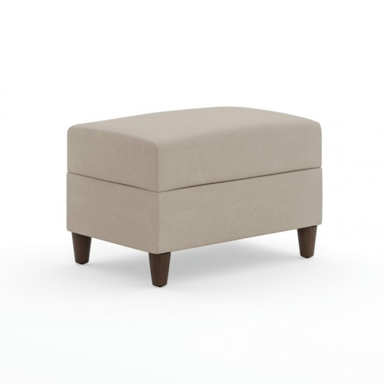 Blake Ottoman by homestyles, Tan