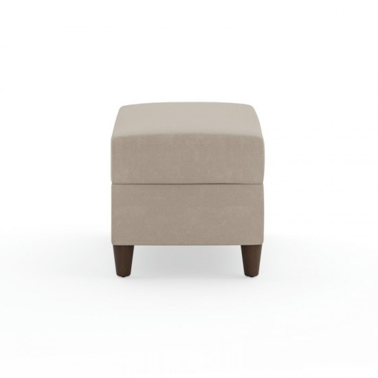 Blake Ottoman by homestyles, Tan