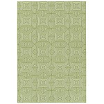 Kaleen Amalie Collection AML10-96 Lime Green Area Rug 5' x 7'6"