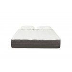 Regal Cloud 12" Pocket Coil Mattress + 2 Pillow, Cal King